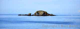 homer alaska elephant rock