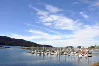 seldovia alaska harbor