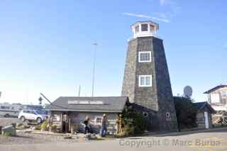 homer alaska salty dawg