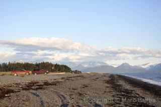 homer alaska shore