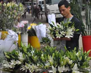 flower market, Hong Kong