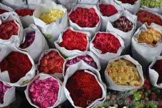 flower market, Hong Kong