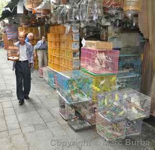 Yuen Po Street Bird Garden