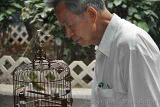 Yuen Po Street Bird Garden