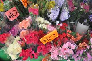 flower market, Hong Kong