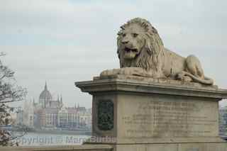 Chain Bridge Budapest Hungary