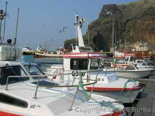 Heimaey boats, Westman Islands, Iceland