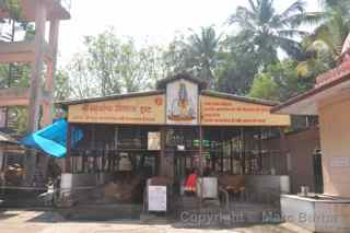 cattle temple