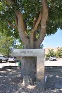 James Dean crash site