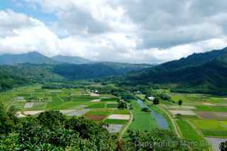 Valley, Kauai, Hawaii