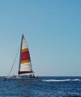 Kauai catamaran