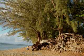 Kauai north shore