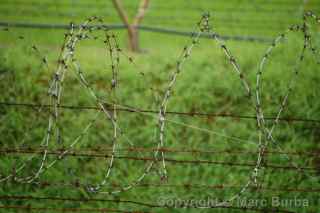 Korea border