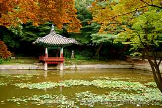 Changdeokgung Palace, Seoul, South Korea