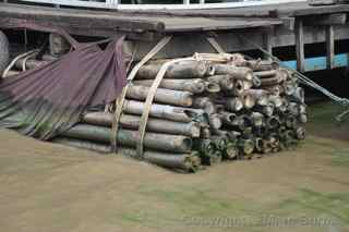 Tonle Sap float