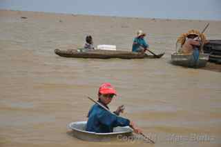 Tonle Sap snake