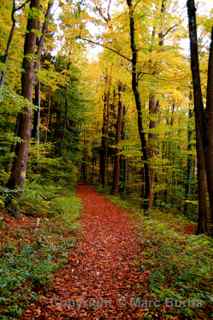 Liechtenstein path