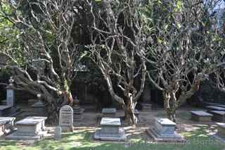 Old Protestant Cemetery, Macau