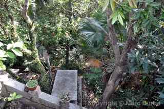 Old Protestant Cemetery, Macau