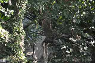 Old Protestant Cemetery, Macau