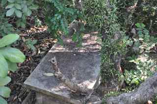 Old Protestant Cemetery, Macau