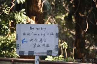 Old Protestant Cemetery, Macau