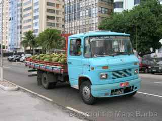 Mercedes 608D Rio