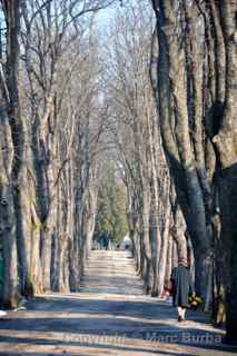 mirogoj visitor