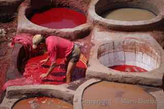 Fez tannery vats, Fez Morocco