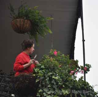 New Orleans balcony flowers