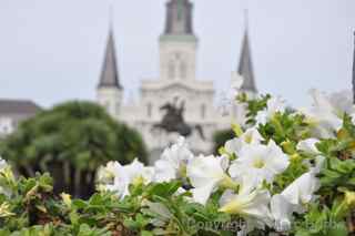 New Orleans St. Louis Cathedral