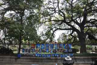 New Orleans Jackson Square artwork