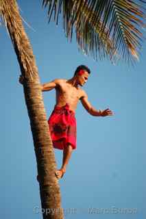 Polynesian Cultural Center