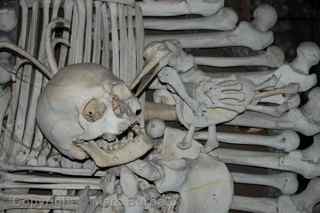 Sedlec Ossuary coat of arms