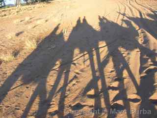 Todd River camel Australia