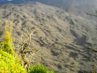 pacaya lava basin