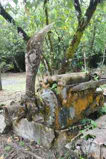 Babeldaob Palau plane