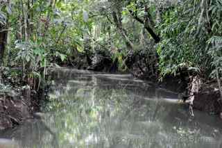 Babeldaob creek