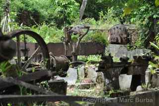 Babeldaob Palau cannery