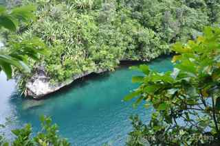 Nikko Bay Palau