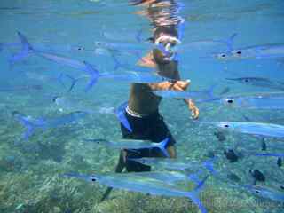 Leon Sam's Tours guide Palau