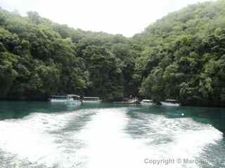 Palau Jellyfish Lake