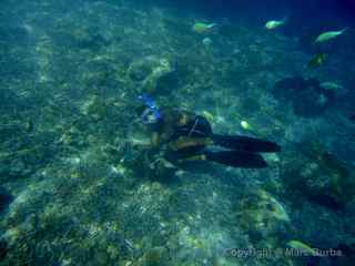 Sam's Tours Leon clam