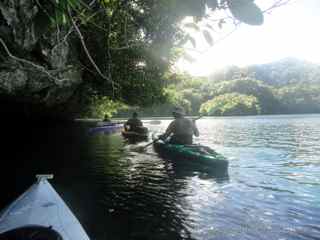 Nikko Bay, Palau