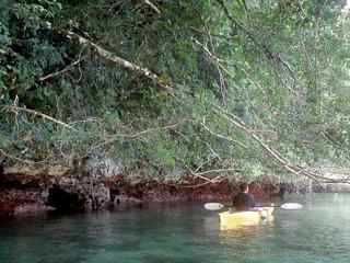 Nikko Bay, Palau