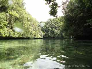 Disney Lake, Palau