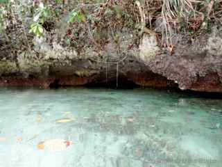 Disney Lake marine tunnel, Palau