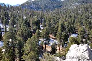 Palm Springs Aerial Tramway