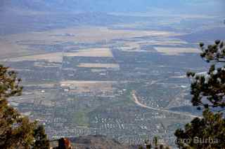 Palm Springs Aerial Tramway