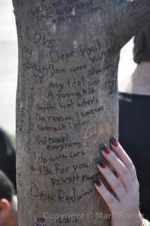 Paul Walker Memorial Meet tree